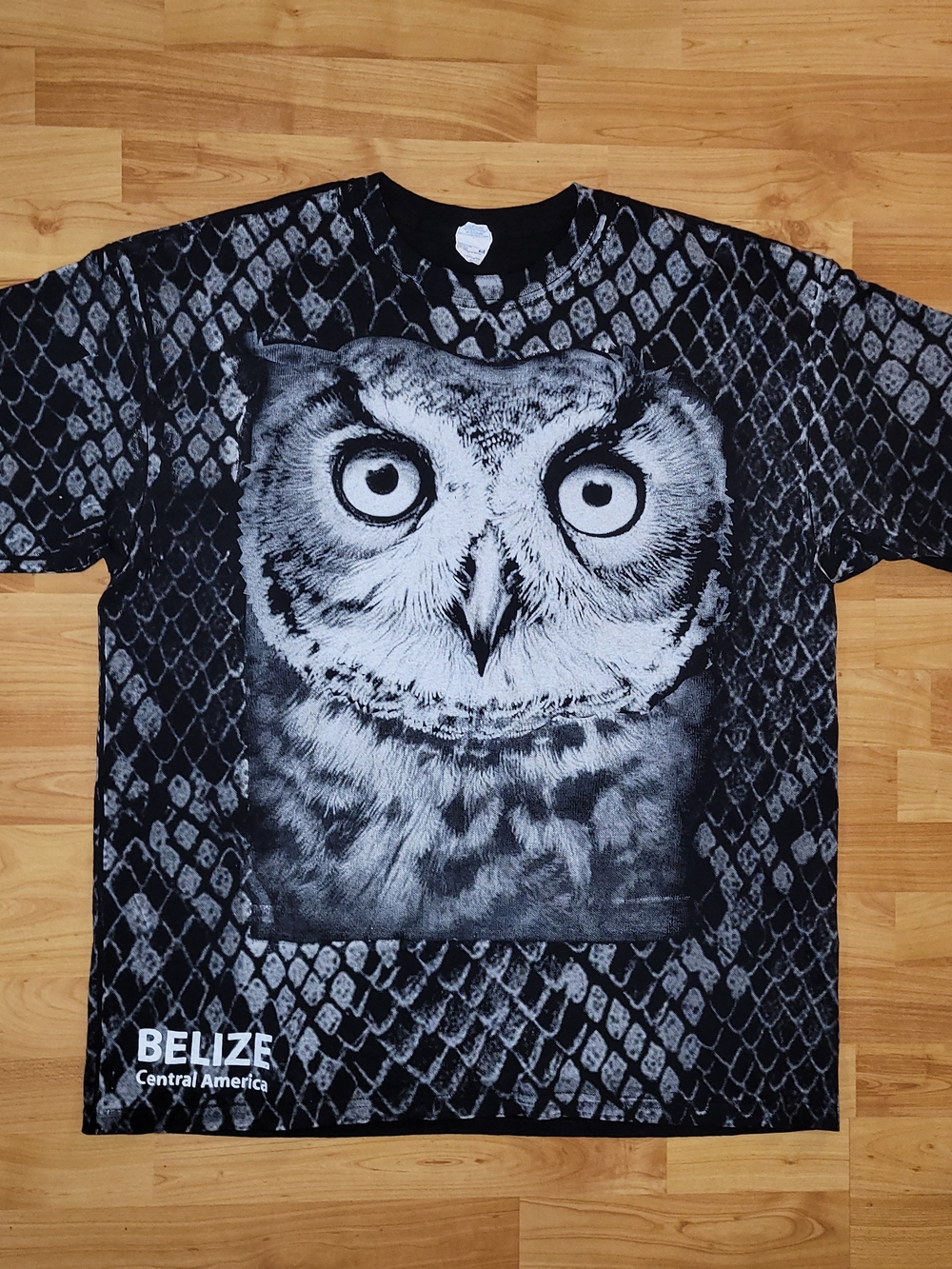 Big Owl AOP Graphic Nature Tee Travel Vacation Tourist Merch- Black & White, 2XL